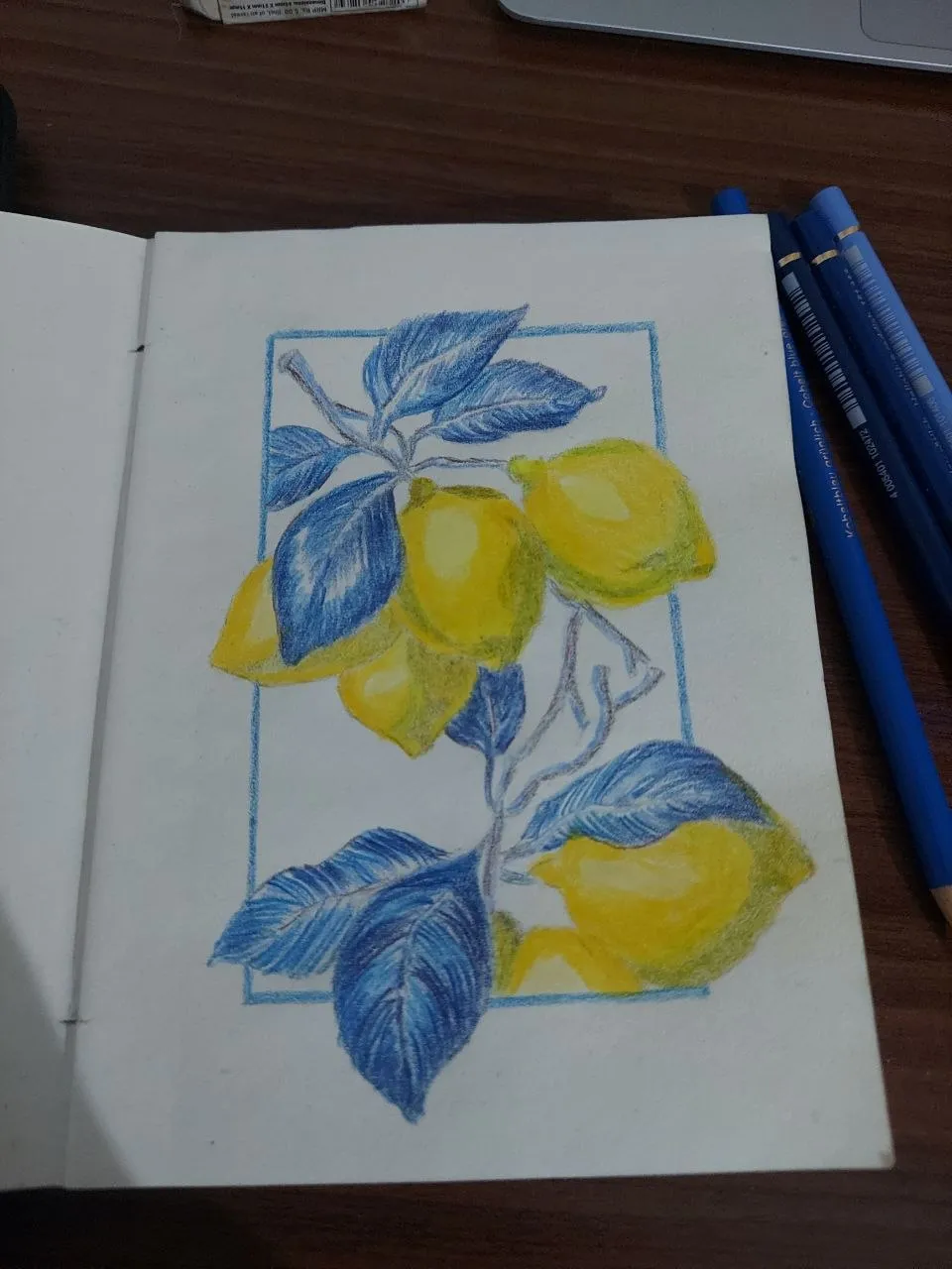 A sketchbook page with a coloured pencil drawing of yellow lemons among blue leaves inside a blue frame. The pencils lie beside the page.