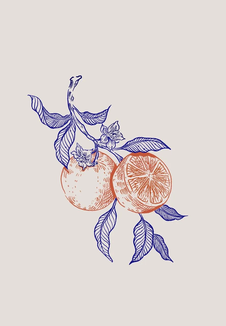A line drawing of two oranges on a branch, one cut open. The fruit is drawn in orange and the leaves and blossom in dark blue.